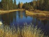 river-landscape3-blurred-copy