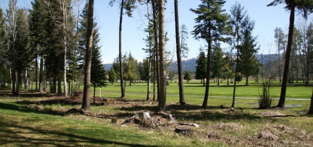 Fairway Back View North