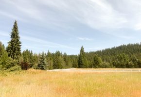 Easy build homesite close to all that McCall has to offer – 1119 Swanie Way, McCall, Idaho 83638