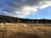 IMG_7589