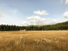 IMG_9800