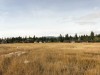 IMG_9801