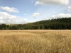 IMG_9802