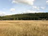 IMG_9803