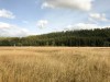 IMG_9804
