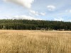 IMG_9805