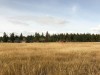 IMG_9806