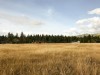 IMG_9807