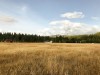 IMG_9808