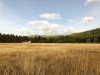 IMG_9809