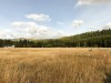 IMG_9810