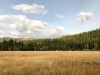 IMG_9811