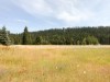 IMG_9457