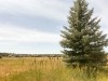 IMG_9459