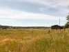IMG_9460