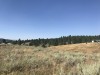 IMG_9462