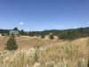 IMG_9464