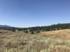 IMG_9465