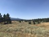 IMG_9466