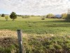IMG_8762