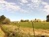 IMG_8765