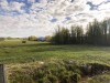 IMG_8768