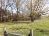 IMG_8779