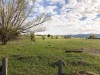 IMG_8784