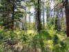 20160517_164825