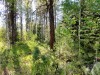 20160517_164828