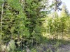 20160517_164831