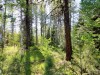 20160517_164843