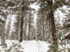 IMG_0432
