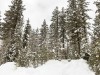 IMG_2959