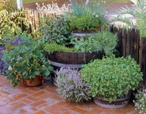 containergarden